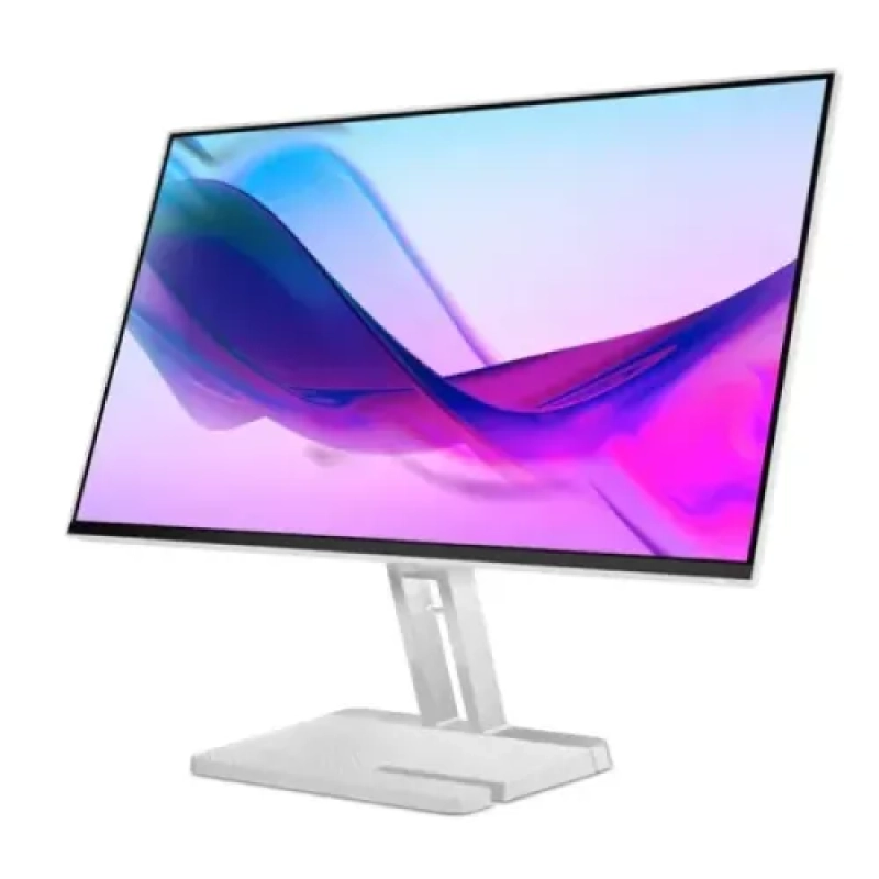 Lenovo L24i-4A 100Hz 23.8 Inch IPS Monitor